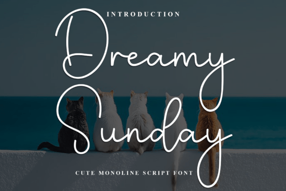 Dreamy Sunday Font Review for Branding Projects