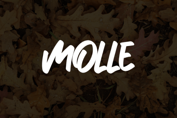 Molle: A Modern Typeface for Handmade Creations