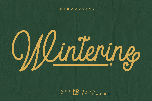 Winterine Font for Digital Marketing and Branding